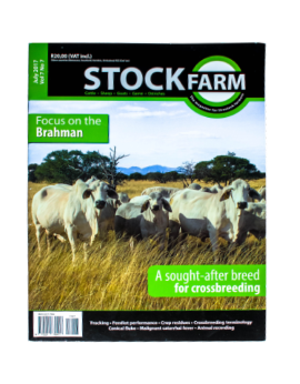 Stock Farm July 2017 Vol. 7 No. 7
