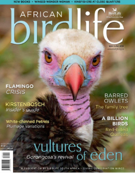 African Birdlife May/june 2019 Vol. 7 No. 4