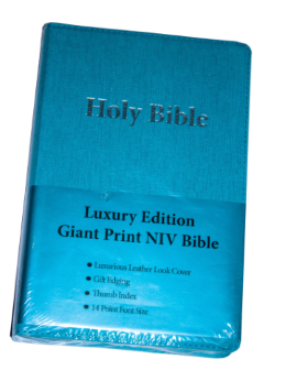 Niv Comfort Turquoise SA