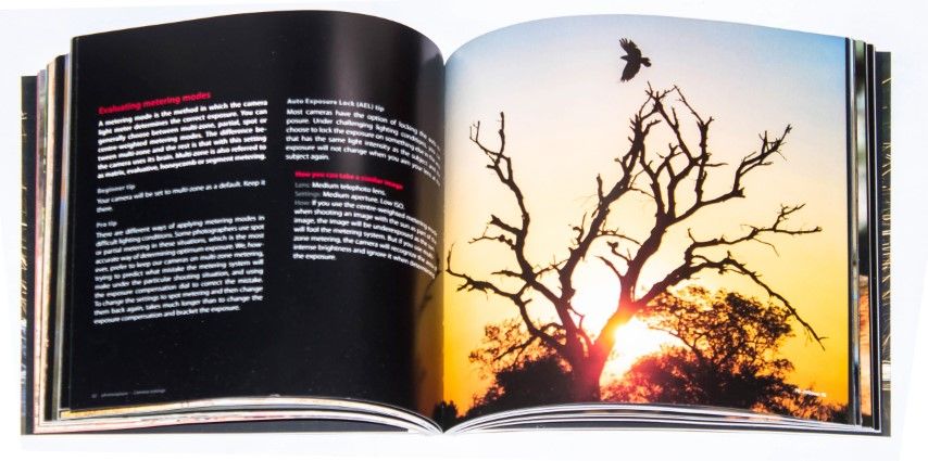Photo Tips - Principles Of Photography SA