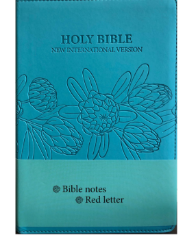 Niv Leather Look Bible Aqua Blue Protea SA